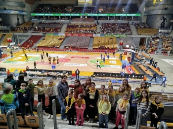 28229e6a-6609-4c60-bb3b-d59e977c2a86