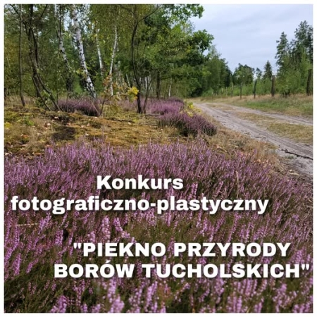 Konkurs Piękno Przyrody Borów Tucholskich - rozstrzygnięcie